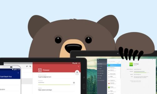 El popular servicio VPN TunnelBear lanza su aplicación Password Manager