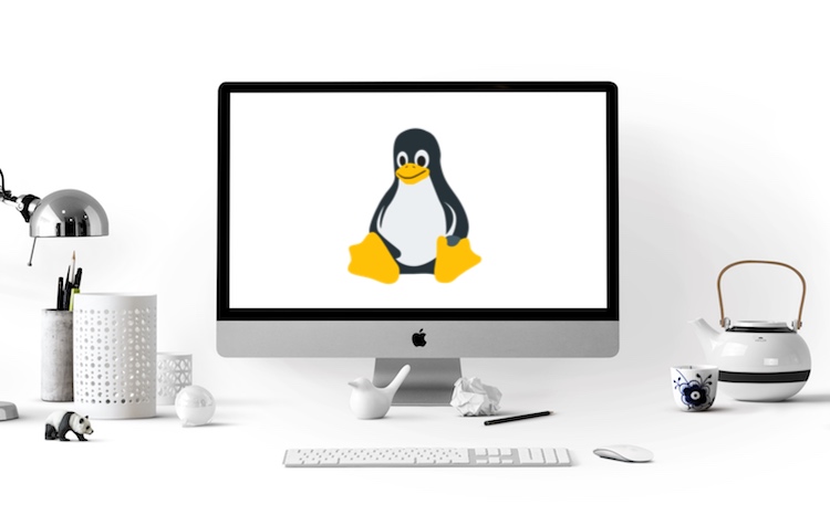 Cómo Arrancar un Live Linux USB en Mac (Guía)