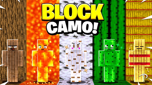 Blockcamo Minecraft