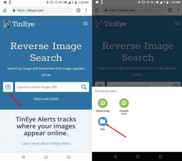 Umgekehrte Bildsuche auf dem Telefon mit TinEye (iOS und Android) 1
