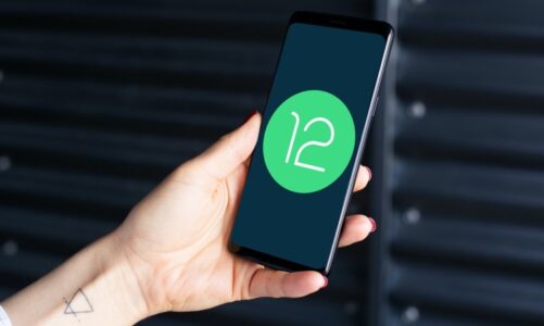 ¿Cuándo recibirá mi teléfono la actualización de Android 12?  (actualizado regularmente)