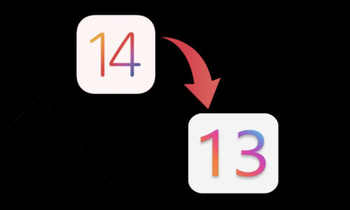 Cómo degradar de iOS 14 Developer Beta a iOS 13