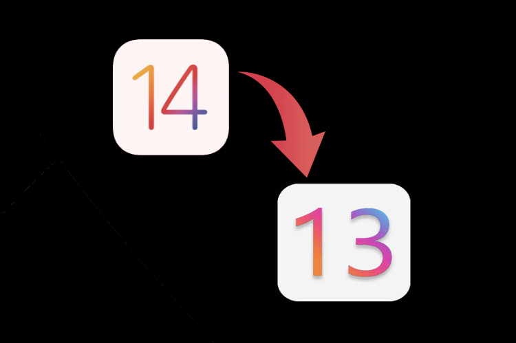 Cómo degradar de iOS 14 Developer Beta a iOS 13