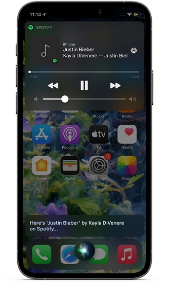 Cambiar la música predeterminada en iOS y iPadOS