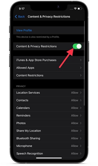 Active la palanca de contenido y privacidad: bloquee el seguimiento de anuncios de Apple en iPhone y iPad