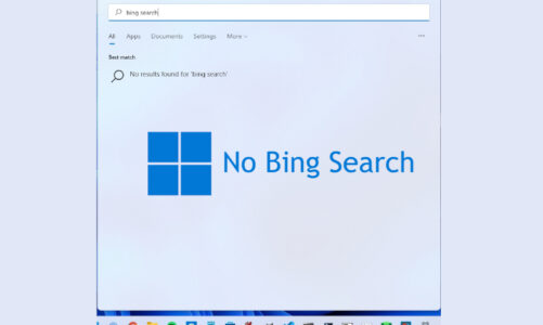 Cómo eliminar los resultados de búsqueda de Bing del menú de inicio de Windows 11