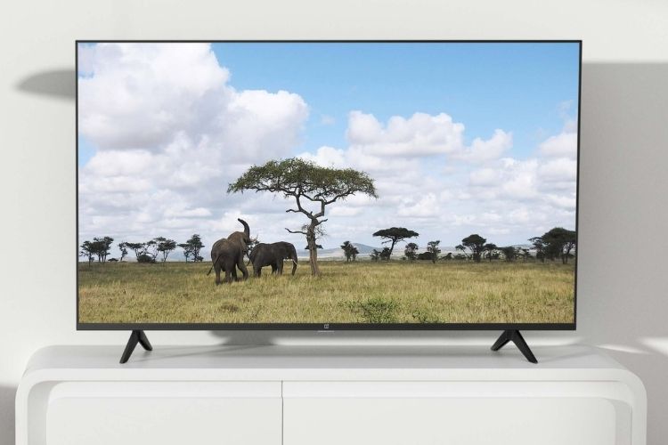 oneplus tv 50 y1s pro in indien eingeführt