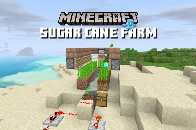 How to Make a Sugar Cane Farm in Minecraft