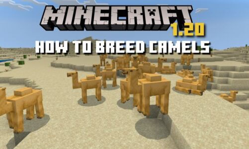 How to Breed Camels in Minecraft 1.20