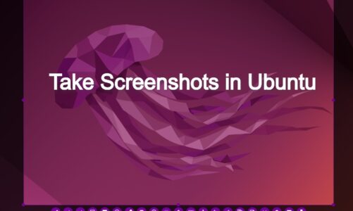 Cómo tomar una captura de pantalla en Ubuntu (5 formas sencillas)