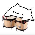 gato bongô