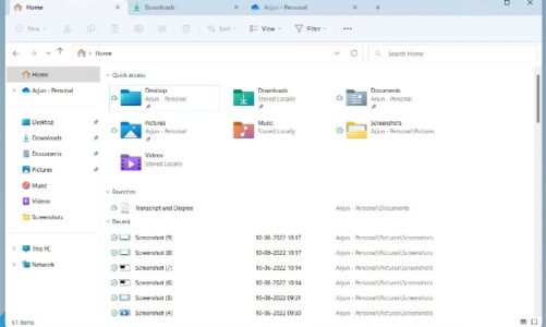 File Explorer Tabs Not Showing in Windows 11? Here are the Fixes!