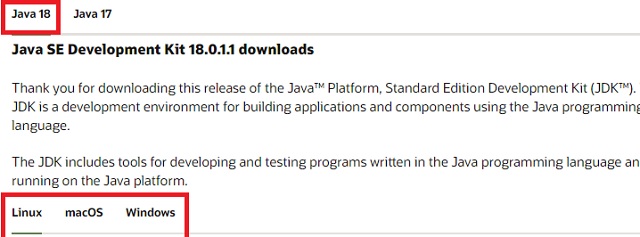 Java-Dateien auf Oracle - JNI-Fehler in Minecraft beheben