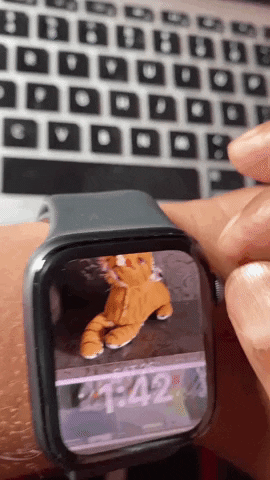 Cómo configurar la esfera del reloj de retratos en watchOS 8 en Apple Watch