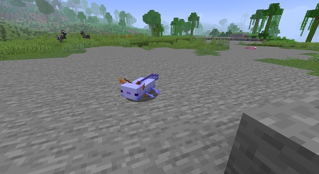 Blauer Axolotl in Minecraft
